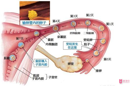 QQ图片20180115141744.png