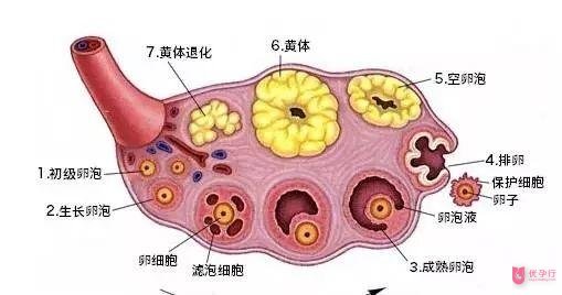 下载.jpg