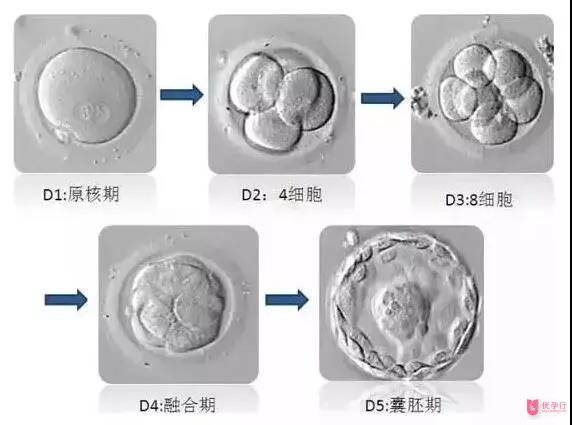 图片_20180321163727.jpg