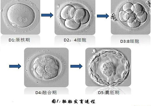 255455-恢复的.jpg